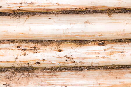 Old Wooden Background photo