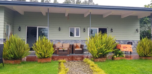 House garden greenery photo