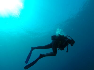 Scuba diving blue marin