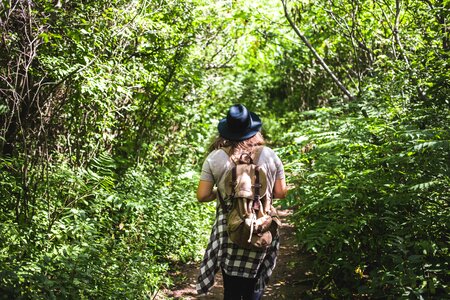 Hiking In Brush