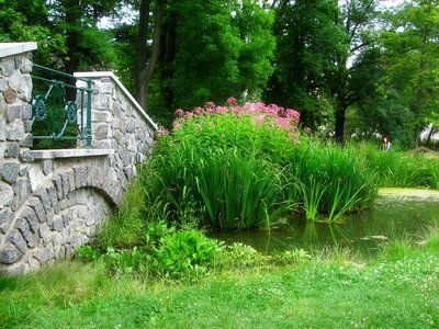 Feng shui spring bridge