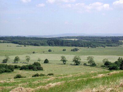 Estate grazing 