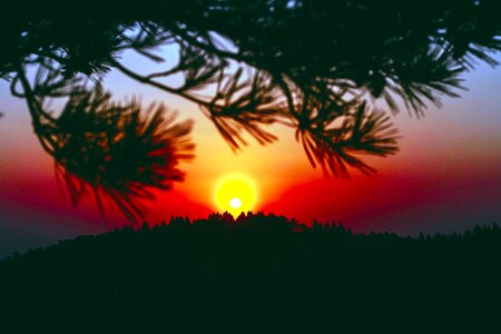 Dusk landscape nature