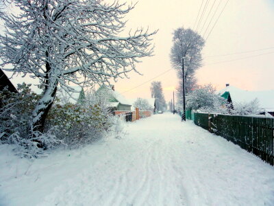 Winter scenic photo