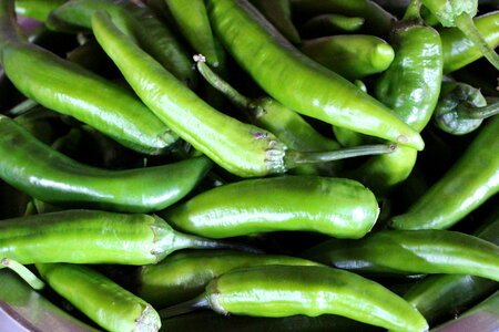 green pepper photo