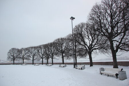 Park in winter photo