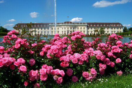 Flower palace architecture photo