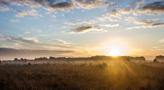Heide fog sun rays photo