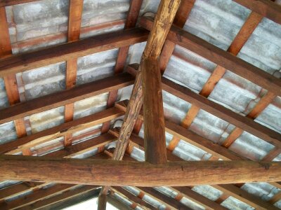 Laminate pine trunk