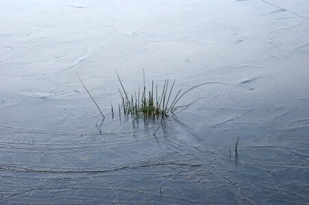 Pond cold freeze