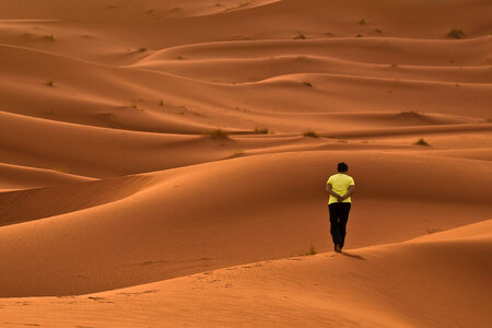 Walking in the Desert photo