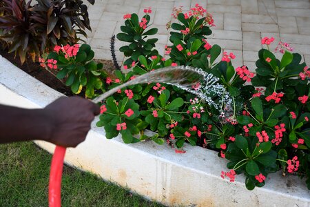Gardener watering water connection