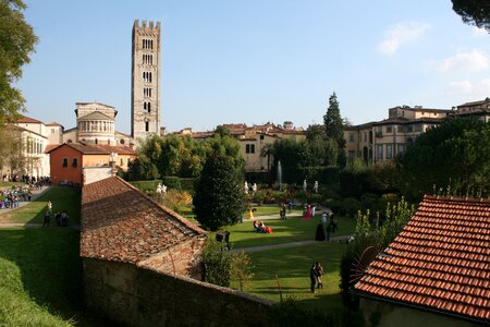 Lucca landscape torre