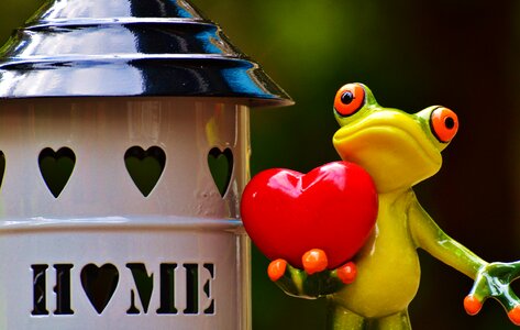 Frog cute decoration