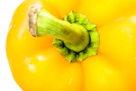 Yellow Pepper photo