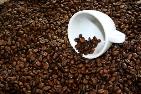 Enjoy coffee beans espresso photo