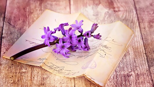 Font handwriting flower photo