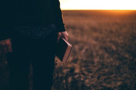 Book dusk field