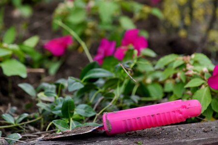 Gardening hand tool nature photo