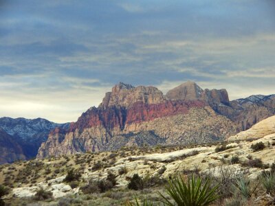 Desert mountain cactus photo