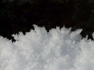Frosty frost frozen photo