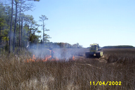 Prescribed Burn at Chesapeake Marshlands National Wildlife Refuge Complex-2 photo