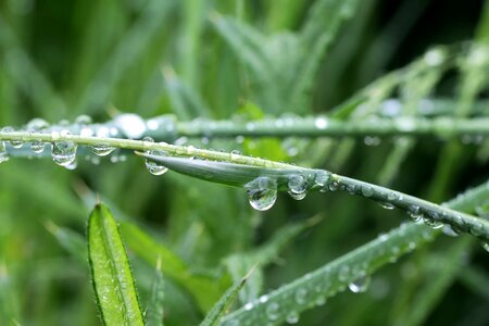 Beautiful Image beautiful photo dark green