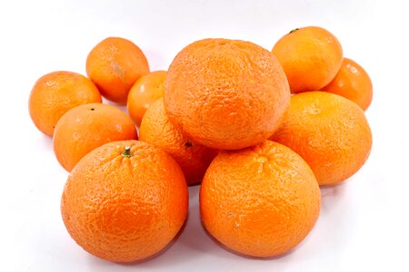 Agriculture group orange peel