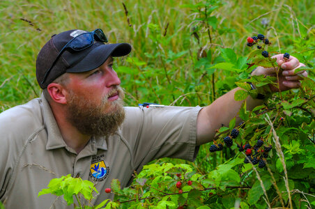 NCTC land management specialist with wild blackberry bushes with berries