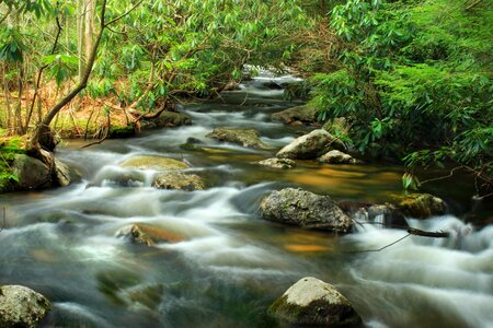 Beautiful Photo creek ecology photo