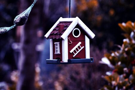 Beautiful Photo decoration hanging