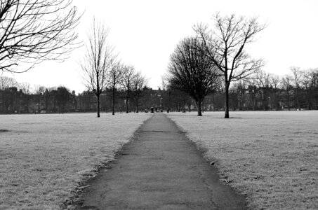 Winter macro park