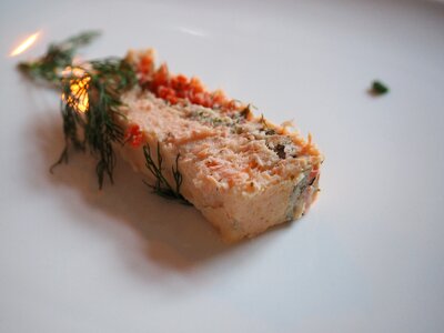 Meal fish gastronomy