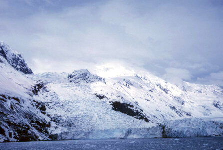 Tidewater Glacier in Prince William Sound photo