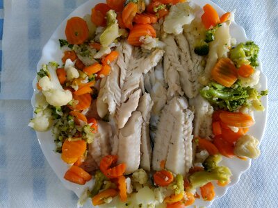 Animal appetizer beautiful photo