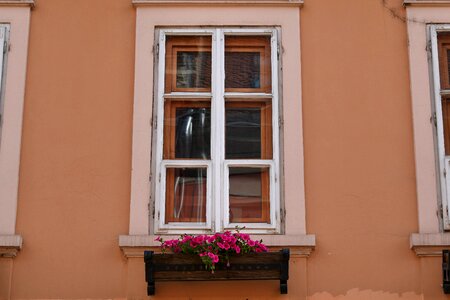 Facade flowerpot windows photo