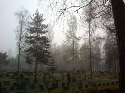 Abies art cemetery photo