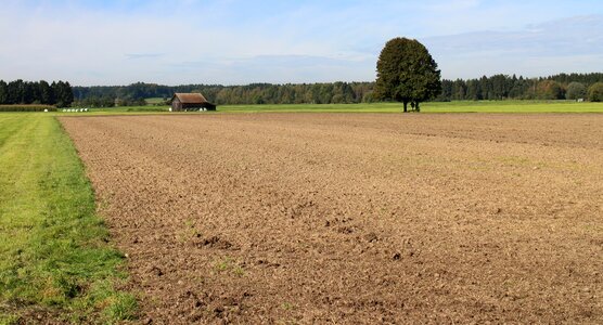 Field landscape harvested photo