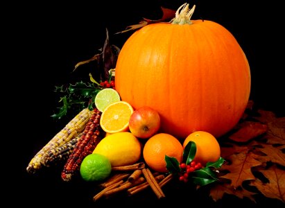 Autumn fall oranges