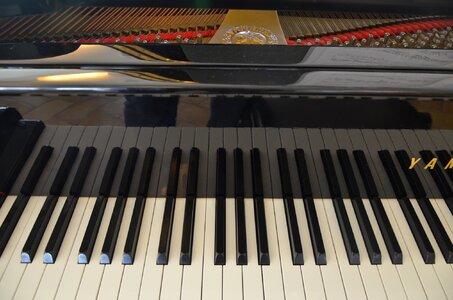 Music piano keyboard piano keys photo