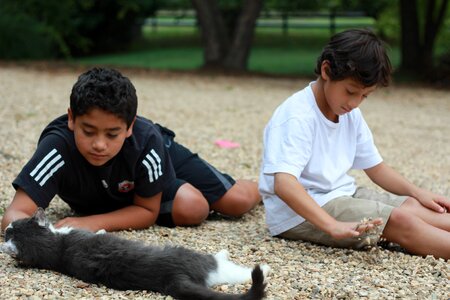 Children pet cat photo