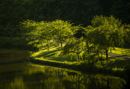 Landscape meadow sunlight
