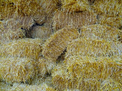 Compressed bales background golden yellow