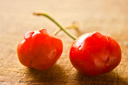 Agriculture apple berry