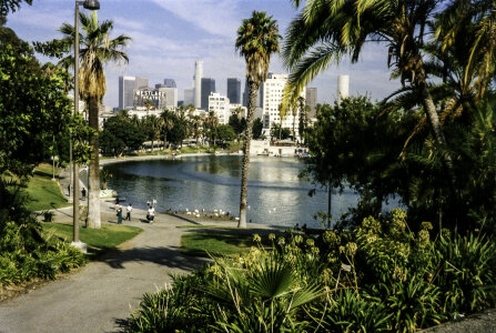 MacArthur Park in Los Angeles, California photo