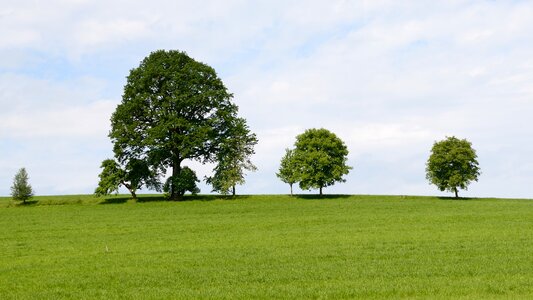 Nature field sky photo