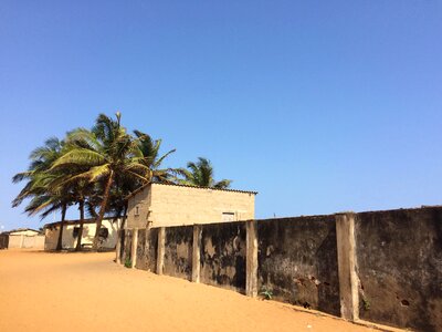 Cityscape trees coconut photo