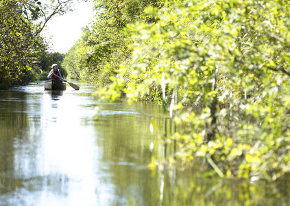 Woman paddling a boat carry tourist in the flooded forest photo