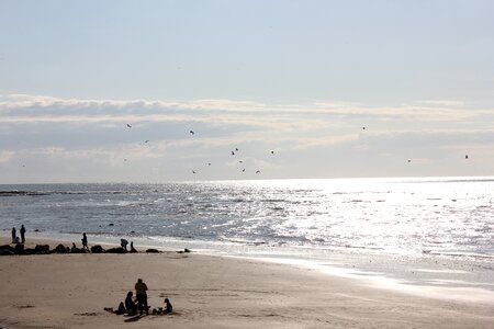 Beach sun ocean photo