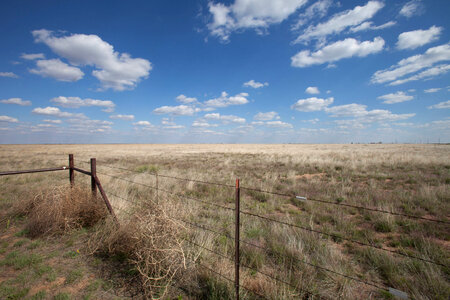 Scenic prairie and barbed wire-1 photo